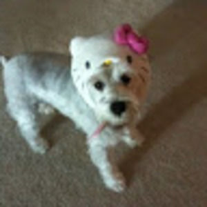 Meet your Posher, Christine